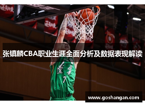 张镇麟CBA职业生涯全面分析及数据表现解读