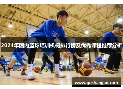 2024年国内篮球培训机构排行榜及优秀课程推荐分析