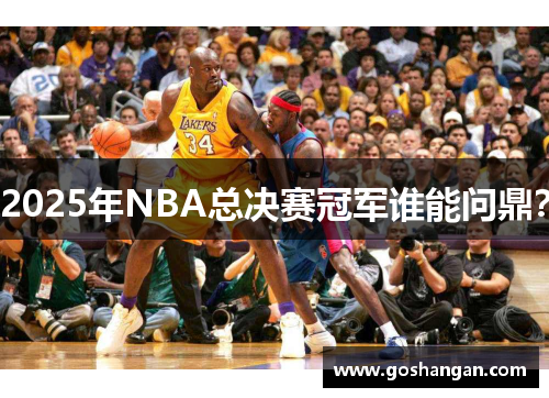 2025年NBA总决赛冠军谁能问鼎？