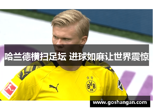 哈兰德横扫足坛 进球如麻让世界震惊