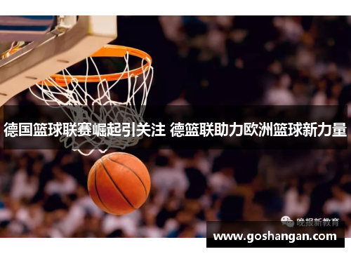 德国篮球联赛崛起引关注 德篮联助力欧洲篮球新力量