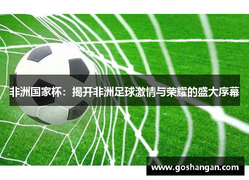 非洲国家杯：揭开非洲足球激情与荣耀的盛大序幕